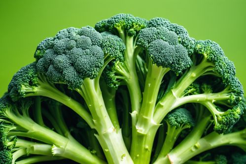 西蓝花 生机盎然的绿色营养宝库