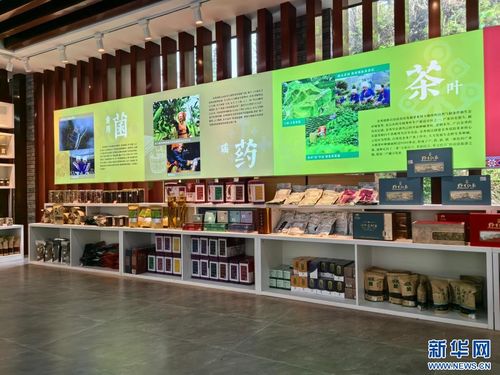 念好“生态经” 打造新业态——广西金秀瑶寨乡村振兴见闻