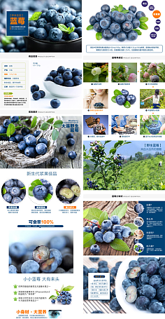 农资与农产品 现代农业发展的双轮驱动