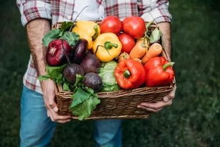 乡村规划设计视角下 农产品品牌营销的十大误区与新农人启示