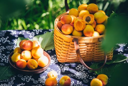 品味新疆 招牌果发布会 百果园携手新疆优质农产品产销服务中心共促农产品品质升级