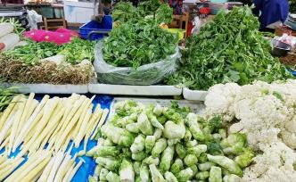 农产品价格 市场波动、影响因素与未来展望